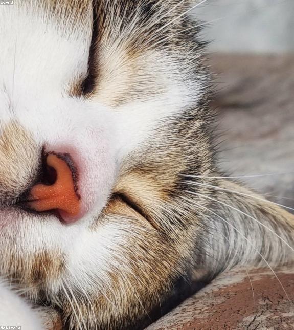 Gorgeous Granite Keyboard