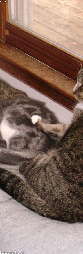 Sleek Concrete Cheese